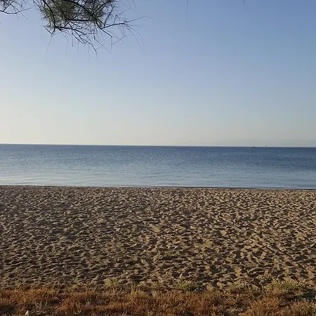 Pavlos